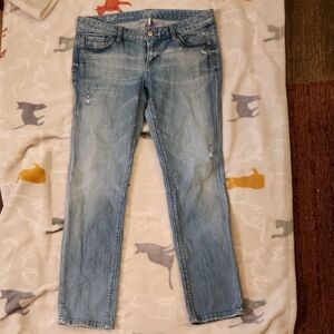 Loft Denim Distressed Jeans